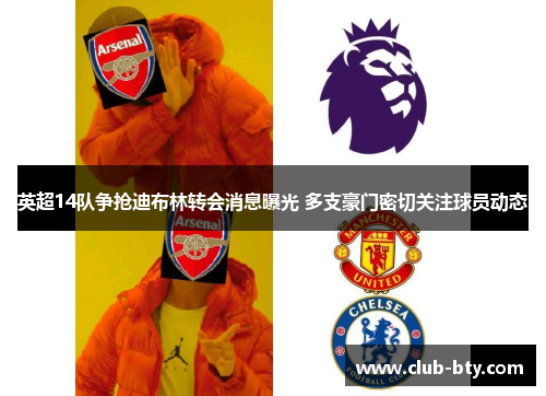 英超14队争抢迪布林转会消息曝光 多支豪门密切关注球员动态