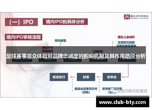 足球赛事观众体验对品牌忠诚度的影响机制及其作用路径分析