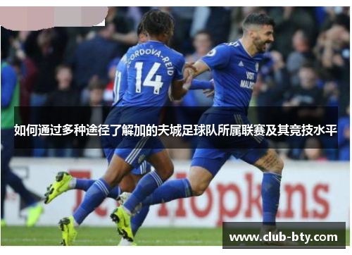 如何通过多种途径了解加的夫城足球队所属联赛及其竞技水平 如何通过多种途径了解加的夫城足球队所属联赛及其竞技水平