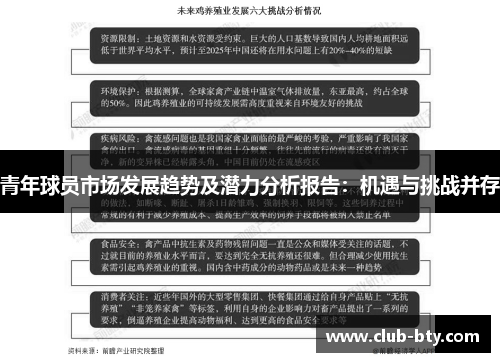 青年球员市场发展趋势及潜力分析报告：机遇与挑战并存