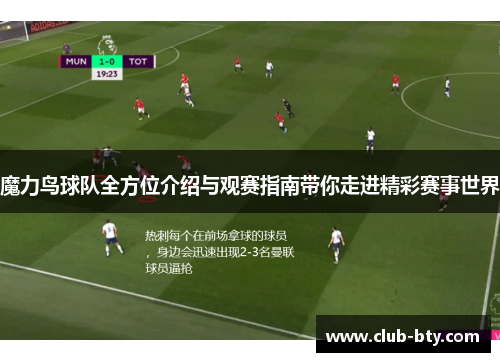 魔力鸟球队全方位介绍与观赛指南带你走进精彩赛事世界